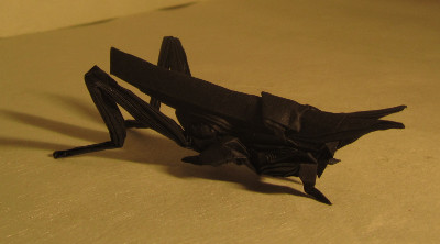 Origami_Gallery/2013/auto-400/Locust 1.400.JPG